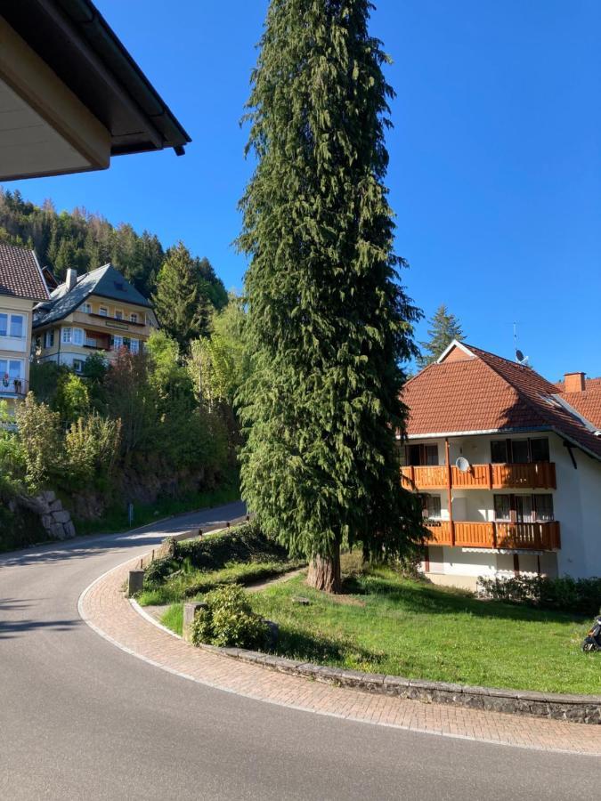 Haus Sonne Apartment Todtmoos Luaran gambar